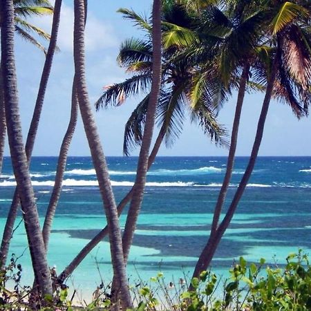 Hamo Cosy Piscine Proche Plage Sainte-Anne Buitenkant foto