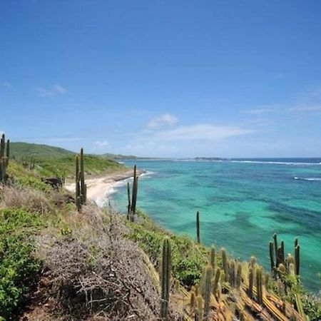 Hamo Cosy Piscine Proche Plage Sainte-Anne Buitenkant foto
