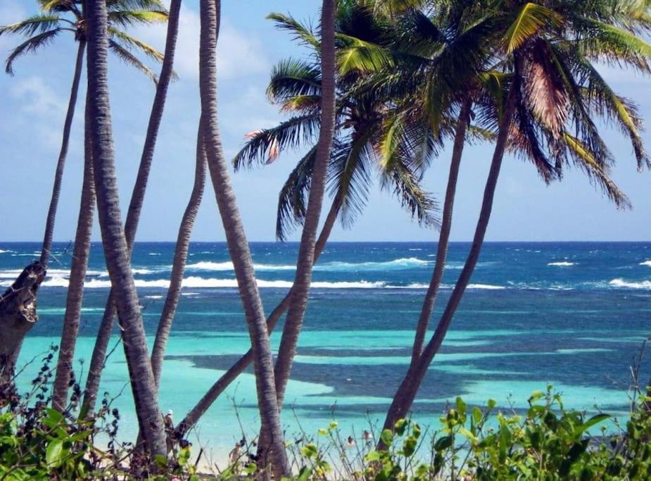 Hamo Cosy Piscine Proche Plage Sainte-Anne Buitenkant foto