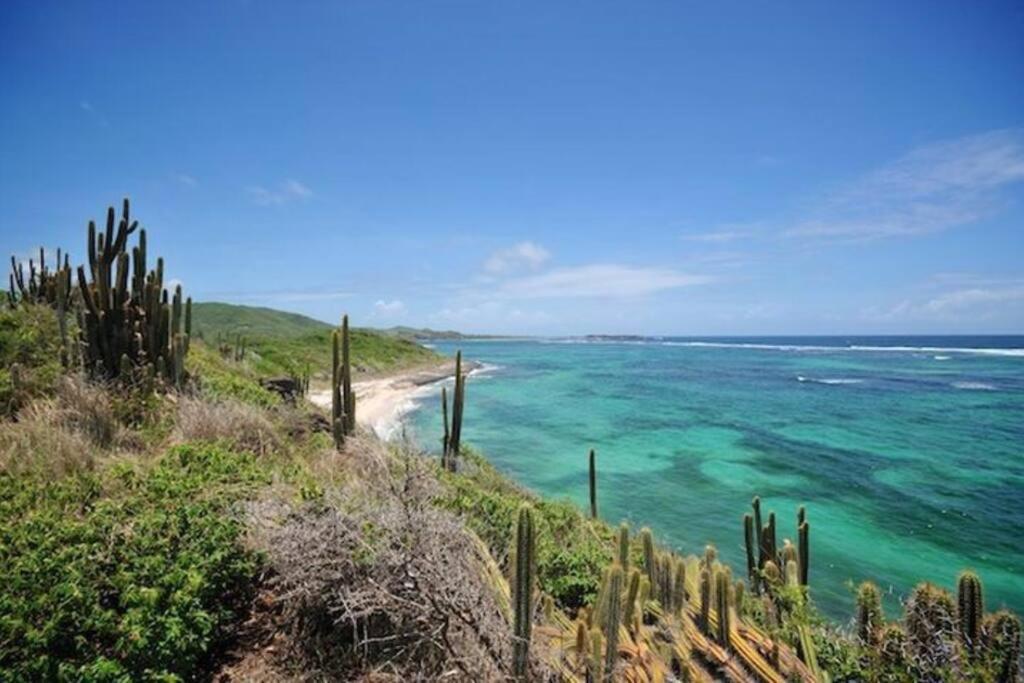 Hamo Cosy Piscine Proche Plage Sainte-Anne Buitenkant foto